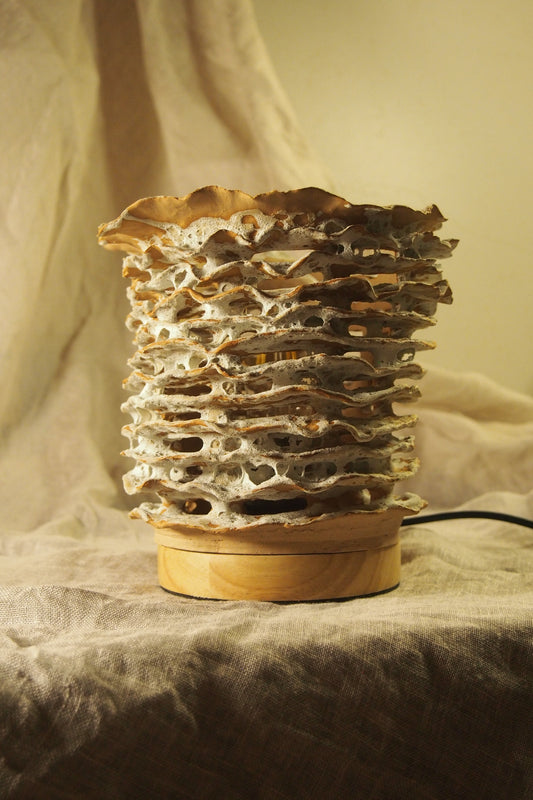 Echo I, ceramic lamp sculpture
